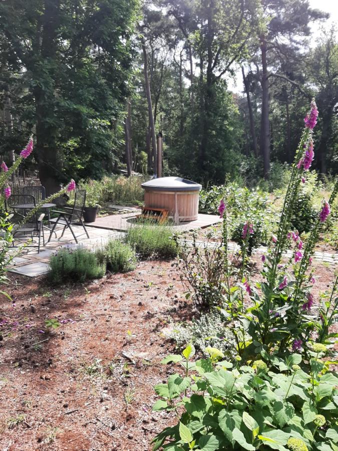 Vakantiehuis Met Hottub En Barrelsauna Ommen Exterior photo