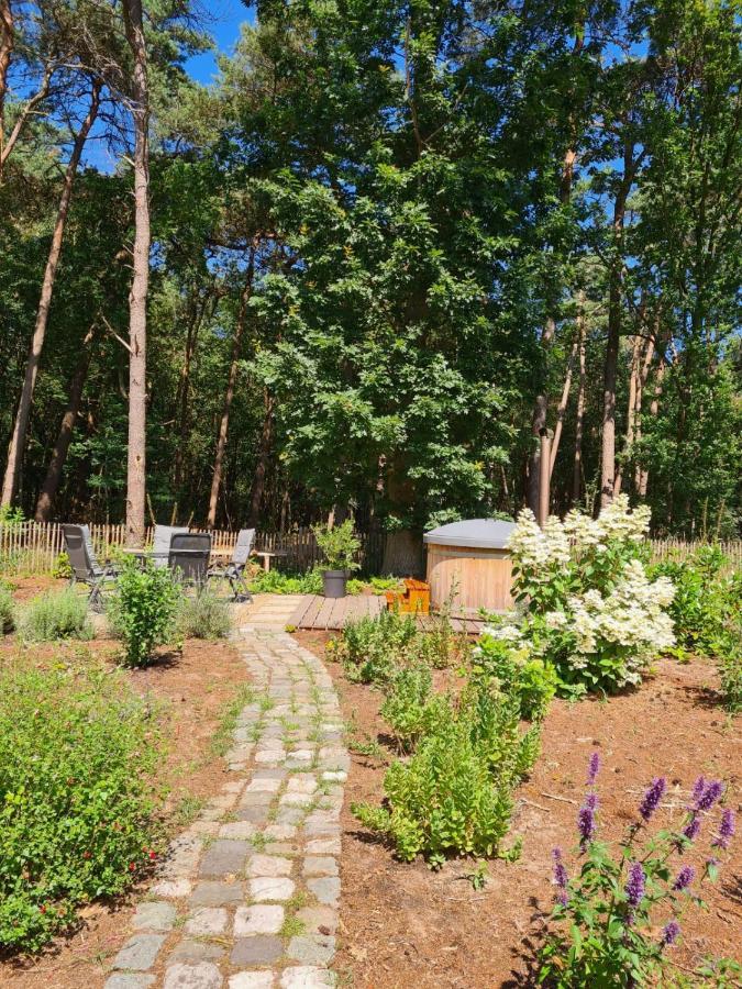 Vakantiehuis Met Hottub En Barrelsauna Ommen Exterior photo