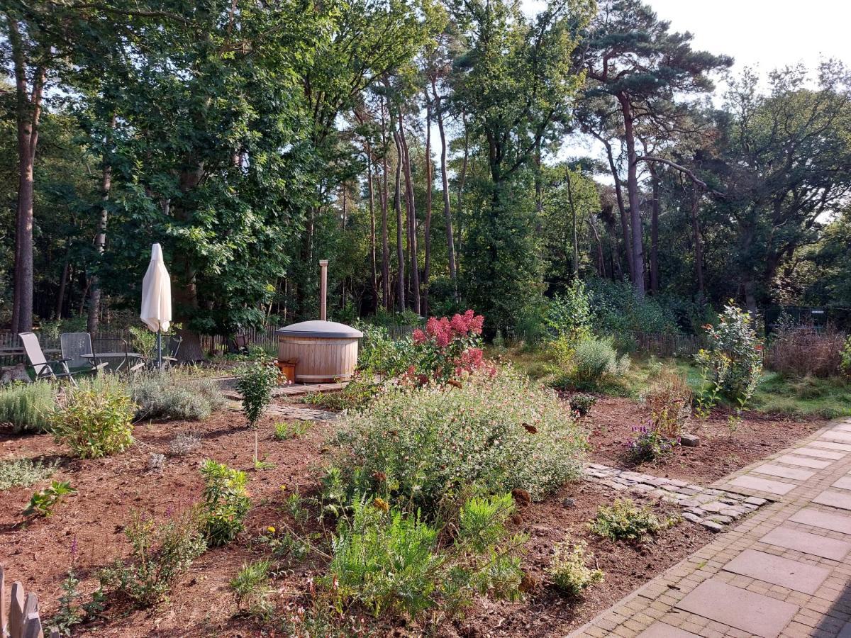 Vakantiehuis Met Hottub En Barrelsauna Ommen Exterior photo